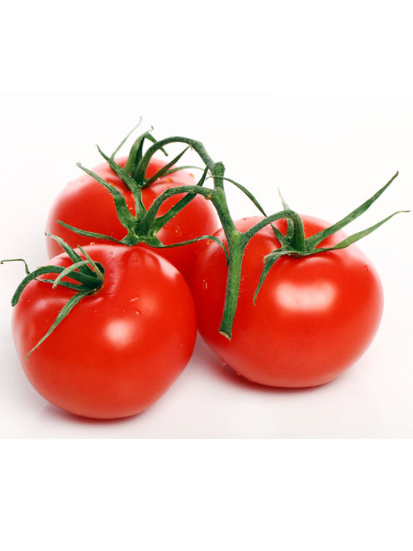 Tomato (टमाटर)